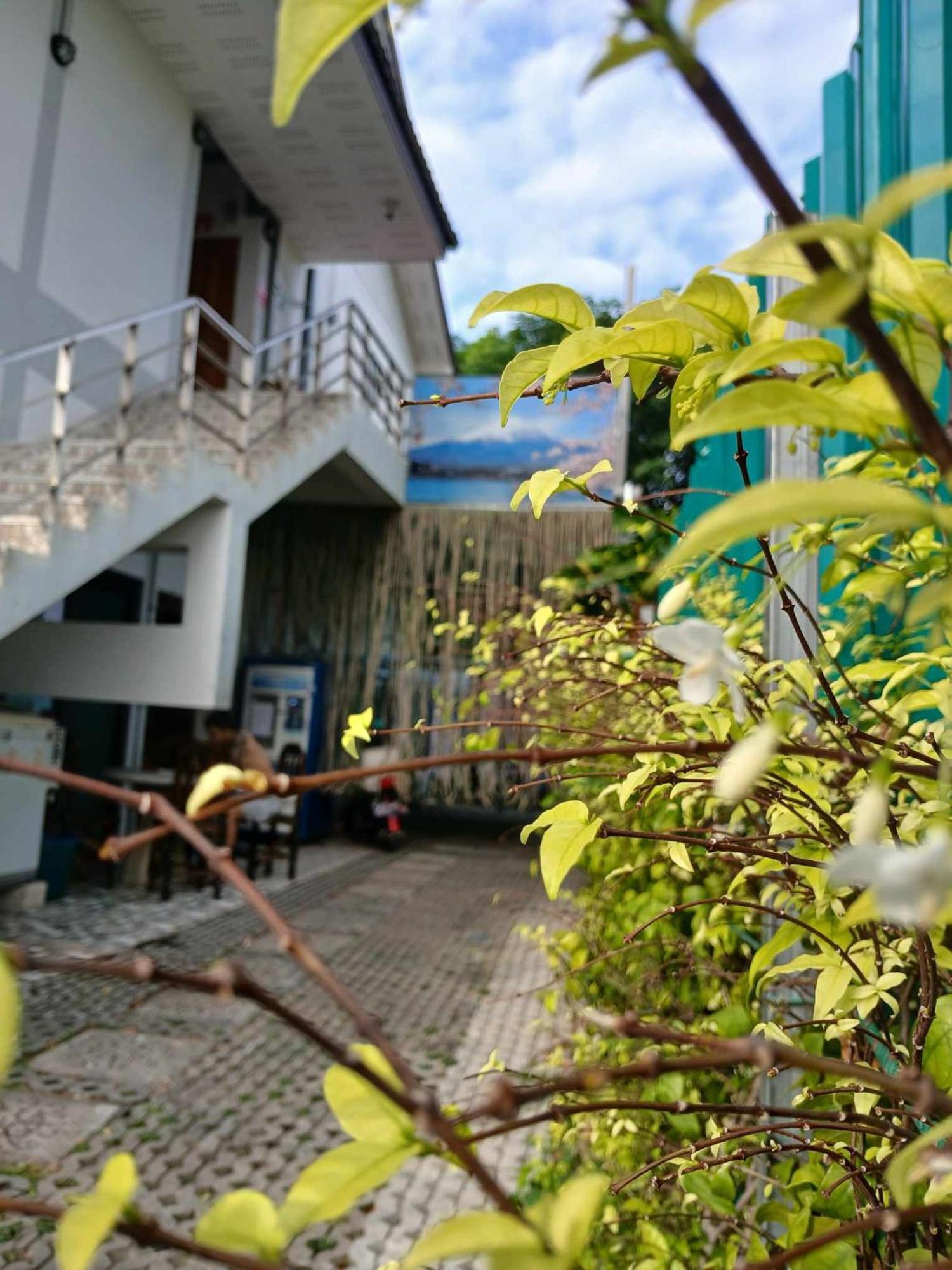 Sakura House Hostel Chiang Mai Exterior foto