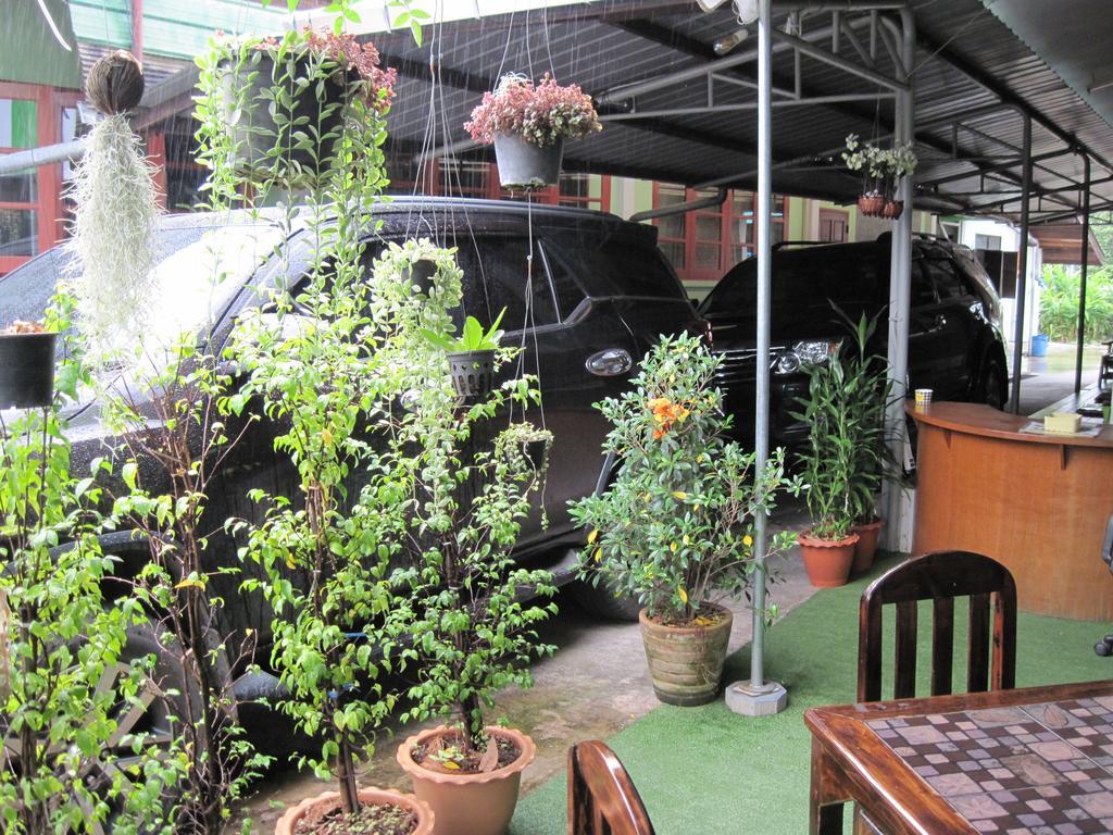 Sakura House Hostel Chiang Mai Exterior foto