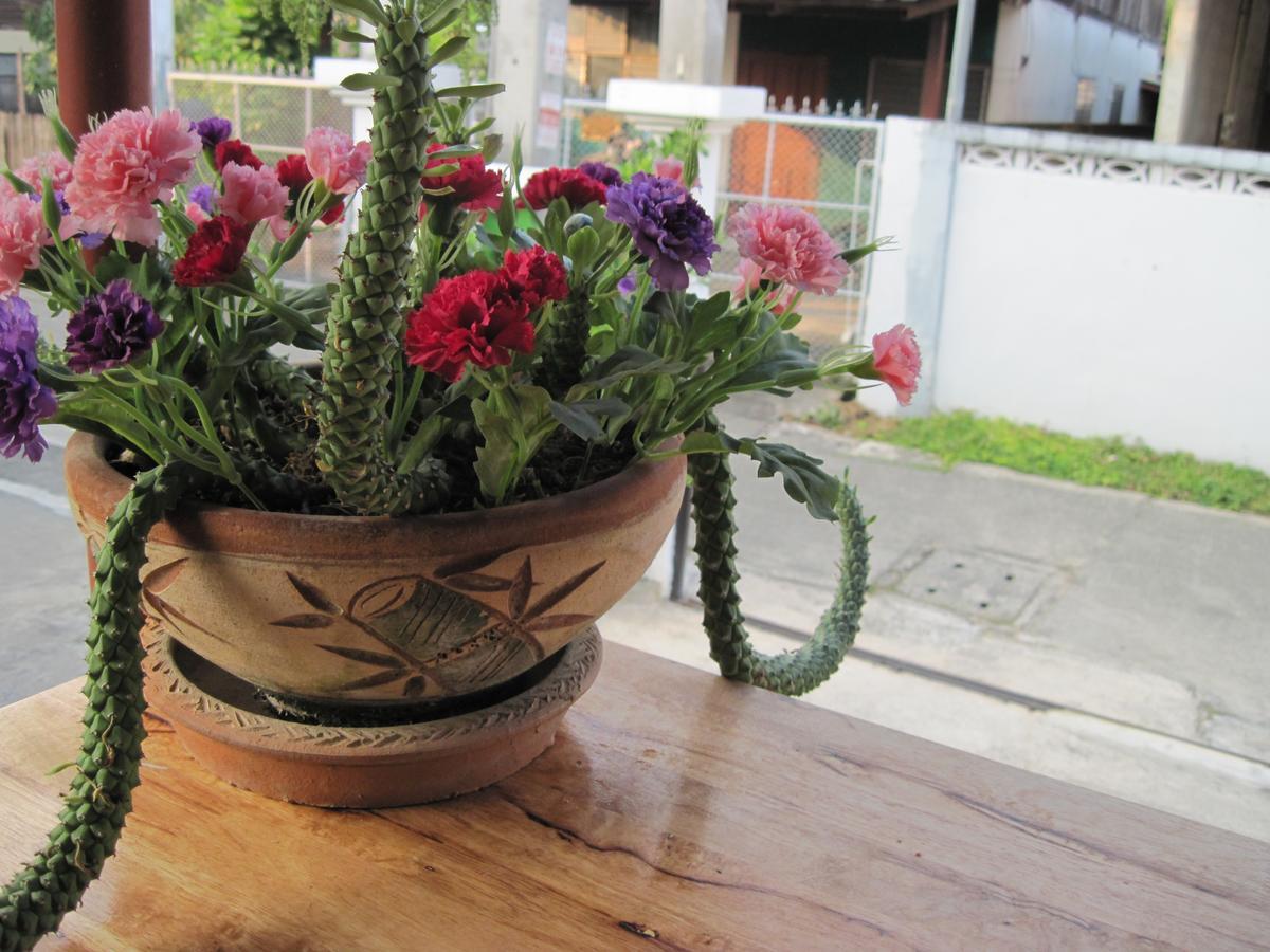 Sakura House Hostel Chiang Mai Exterior foto